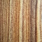 305CAAED-FF47-4B9A-9A42-11A3EFF59E2B